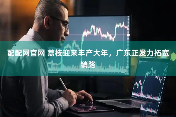 配配网官网 荔枝迎来丰产大年，广东正发力拓宽销路