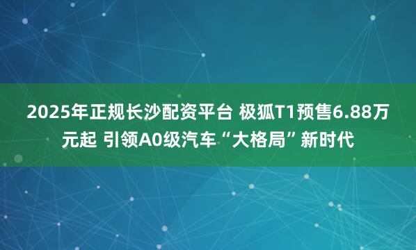 2025年正规长沙配资平台 极狐T1预售6.88万元起 引领A0级汽车“大格局”新时代