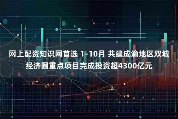 网上配资知识网首选 1-10月 共建成渝地区双城经济圈重点项目完成投资超4300亿元